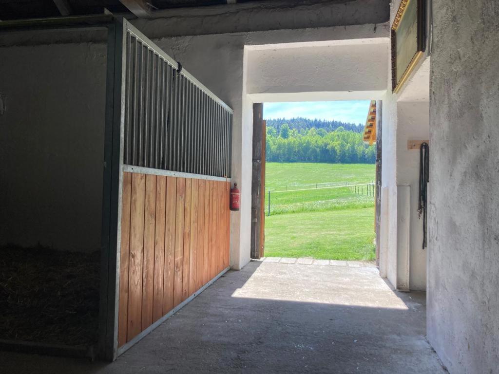 Apartman Pod Sribrnou Horou Lhenice Exterior foto